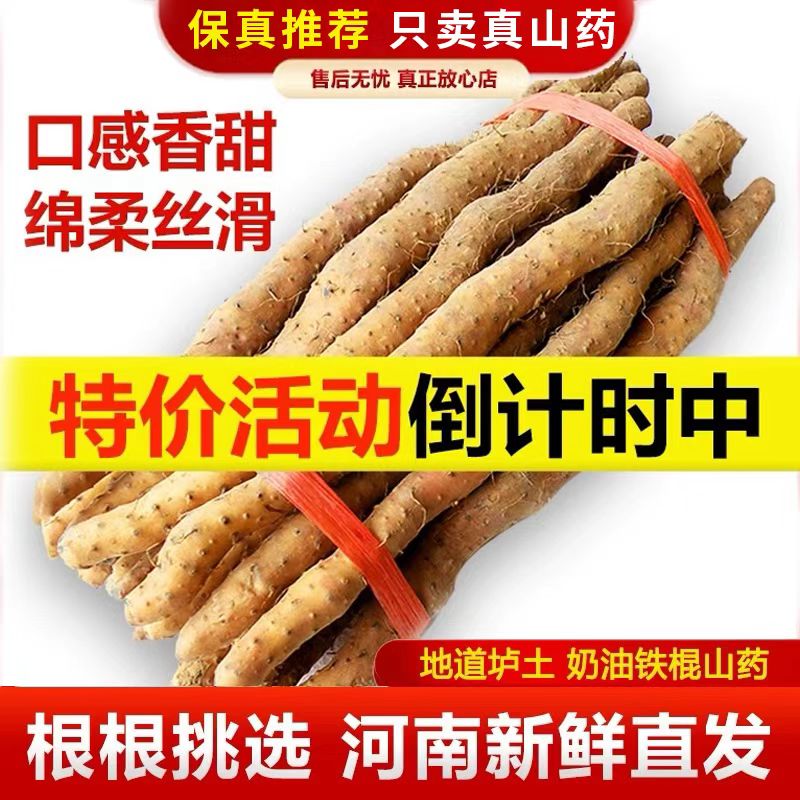 正宗河南焦作温县垆土铁棍铁杆淮山怀山药新鲜5斤特产整箱准铁桂