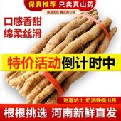 正宗河南焦作温县垆土铁棍铁杆淮山怀山药新鲜5斤特产整箱准铁桂