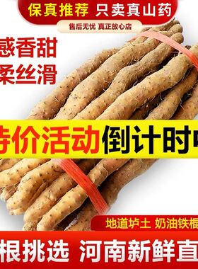 正宗河南焦作温县垆土铁棍铁杆淮山怀山药新鲜5斤特产整箱准铁桂