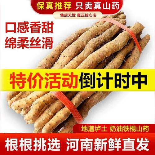 温县铁棍山药怀山药铁棍垆土地