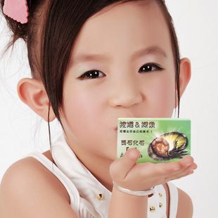 天然水晶石头化石菊石标本挖掘探索礼盒学生儿童科普教学材料玩具