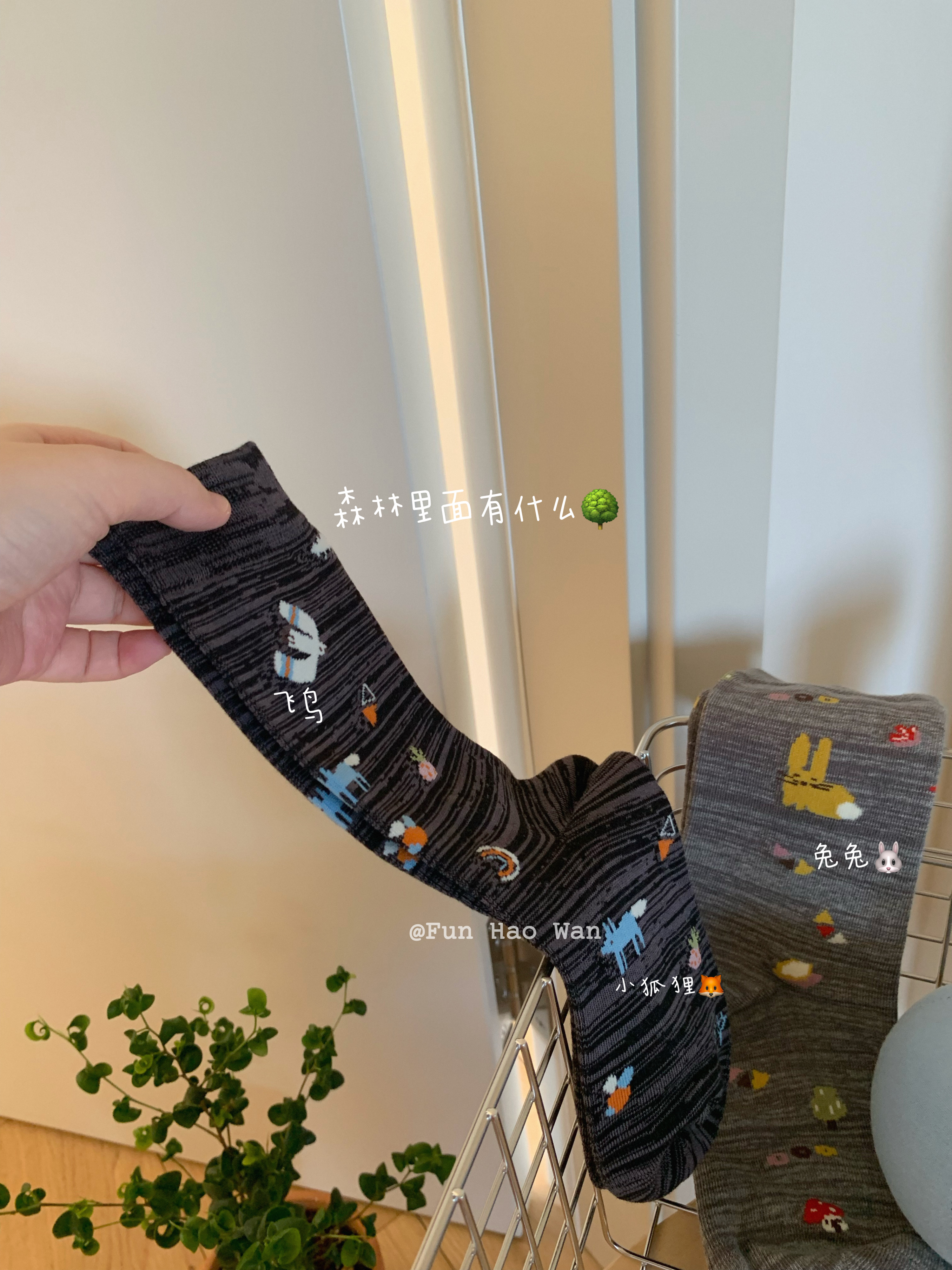 森林里面有什么～无骨袜头 小松鼠/小狐狸中筒袜 森森软软女棉袜