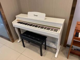 Rageman拉格曼数码电钢琴88键重锤键智能电钢琴58807型号