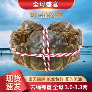 活蟹现货裸重特大大闸蟹官方旗舰鲜活全母蟹3.0 3.3螃蟹河蟹礼盒