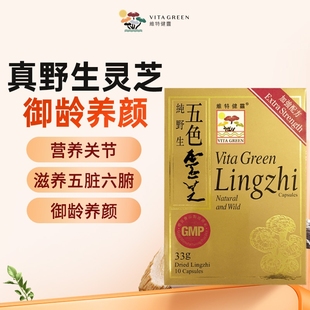 五色灵芝10粒 维特健灵 临期产品效期26年5月 盒 u先试用