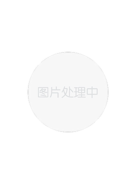高级感精致H字母毛衣链