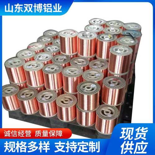 电路板铜线T2纯铜丝0.5mm 1.0mm 2.0mm导电紫铜编织线多股成绞