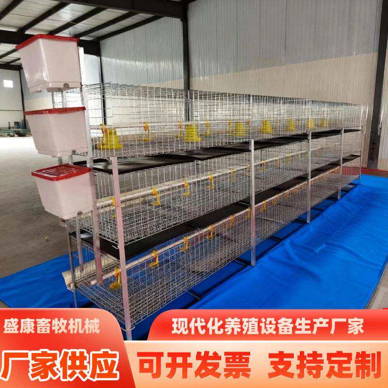 三层两门立体式H型肉鸡笼各种养鸡养殖设备鸡舍家禽镀锌肉鸡笼子