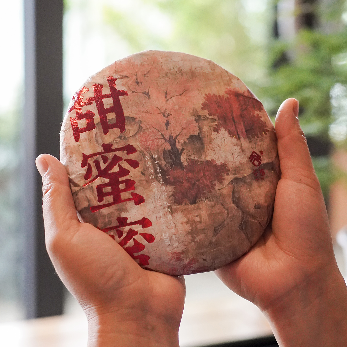 云南高山白茶谷瑜白茶