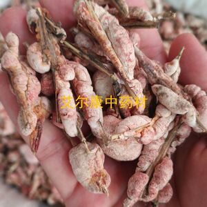 竹黄  500g竹参  竹花  天竹黄  天竺黄 苦竹花 竹茧 竹膏