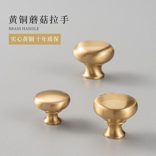 单孔黄铜柜门现代简约小拉手