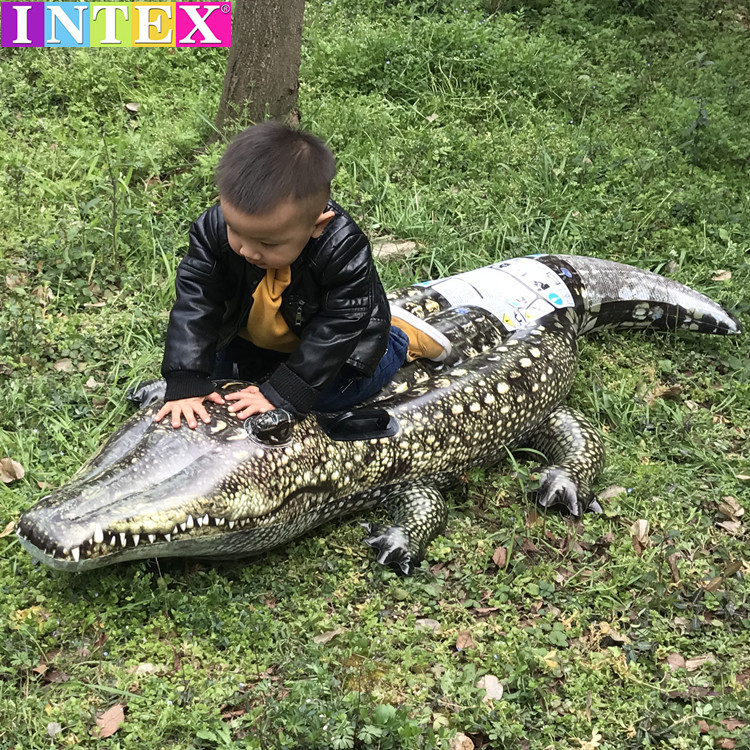 INTEX儿童写实鳄鱼坐骑 宝宝水上游泳圈加厚逼真小鳄鱼浮船气垫床