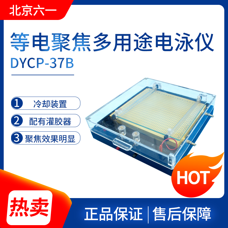 北京六一DYCP-37B等电聚焦多用途电泳仪实验室科研电泳槽 电泳仪
