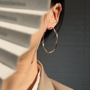 耳边铛196刘亦菲同款 钛钢麻花扭纹耳环圆圈几何耳钉百搭气质耳饰