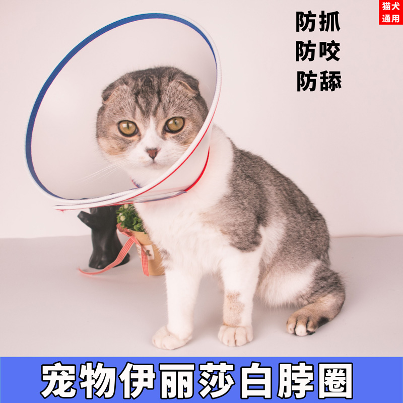 伊丽莎白圈 猫项圈脖圈猫咪防舔防抓咬用品宠物洗澡头罩狗猫头套