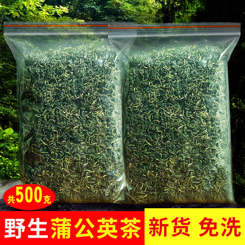 野生长白山纯蒲公英茶500g泡水喝