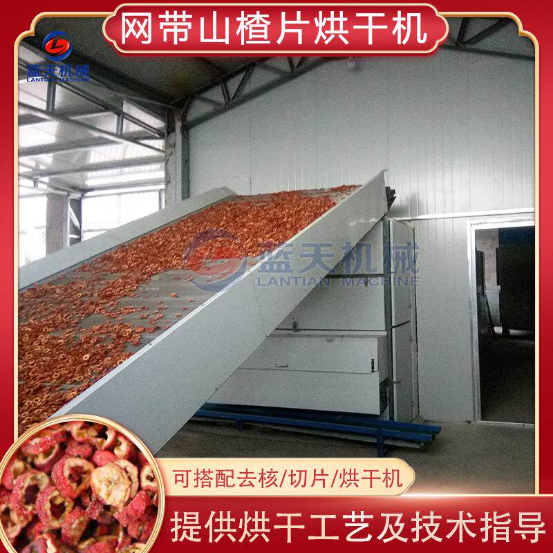 网带山楂烘干机 山里果山里红干燥机 山楂去核切片烘干一体生产线