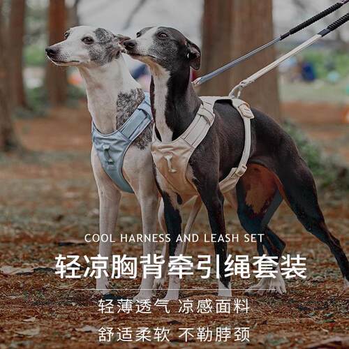 zooland狗狗牵引绳防爆冲把手胸背大型犬狗绳子反光宠物胸背带