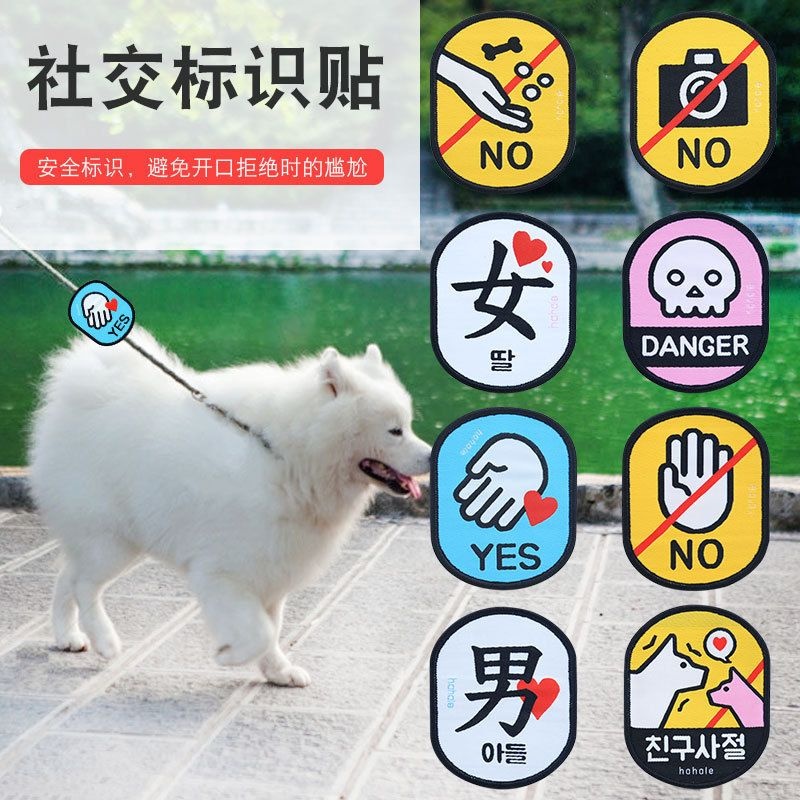 宠物猫狗社交标识贴牵引绳魔术贴提示语外出社交警告牌个性牵引绳