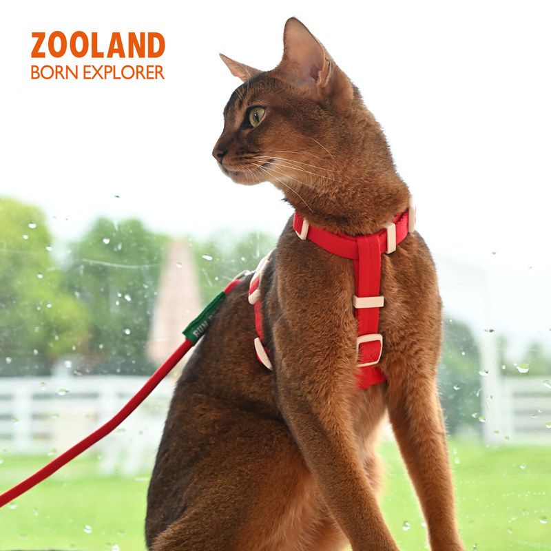 ZOOLAND脖背带遛可猫外出牵引绳图片