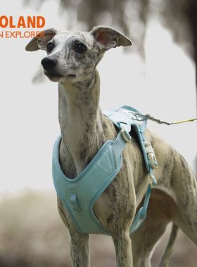 ZOOLAND新品柯基牵引绳胸背遛狗绳子博美法斗边牧小中大型犬狗狗