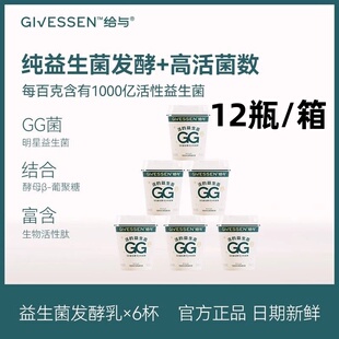 给与1000亿活性益生菌发酵18h 鼠李糖乳酪杆菌GG无添加蔗糖酸奶