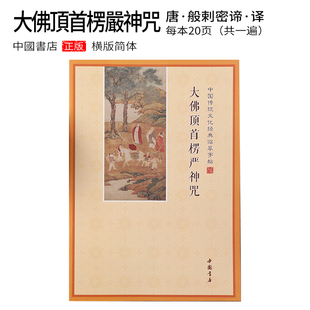 简体楞严咒注音抄写本抄经本手抄本硬笔楷书临摹描红练字本成人