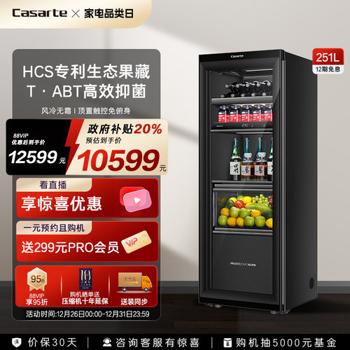 Casarte/卡萨帝平嵌冰吧251黑