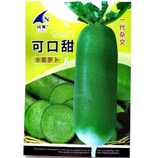 可口脆水果萝卜种子高产早熟大全老品种秋季播盆栽耐寒蔬菜种子