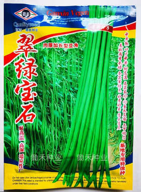 赣新A8 翠绿宝石豇豆种子条荚军绿色肉厚加长豆角种子春秋季种植