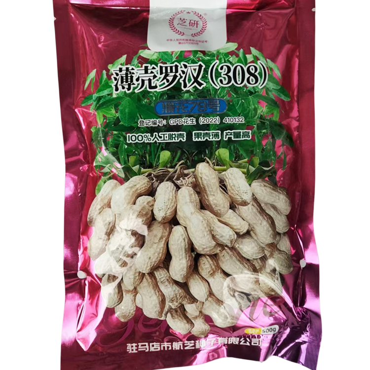 薄壳罗汉308花生种子脱壳大粒花生种子高产抗病薄壳白沙花生种籽