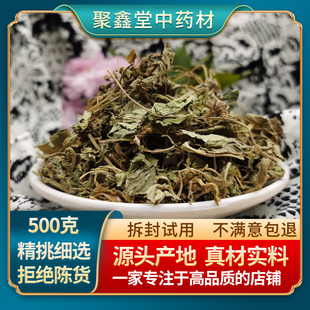 紫花地丁冷背中药材 地丁草 天然紫地丁 地丁泡茶 柴花地丁500g克