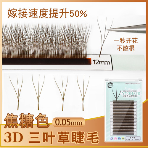 焦糖色三叶草嫁接睫毛不散根