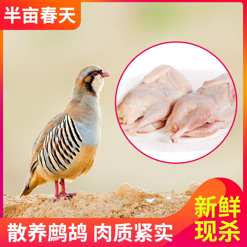 鹧鸪鸟肉新鲜现杀农家散养飞龙鸟鹧鸪石鸡真空三只装顺丰包邮