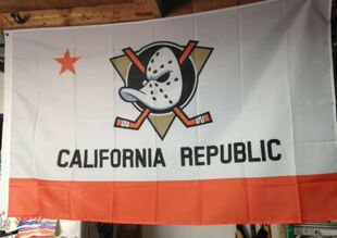 外贸冰球安纳海姆巨鸭旗队旗帜车旗系列NHL Anaheim Ducks Flag