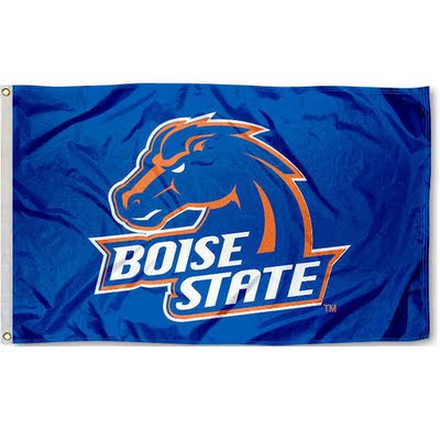 外贸货源大野马队NFL Boise State Broncos Flag亚马逊WISH EBAY