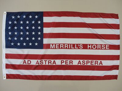 外贸货源Merrill's Horse Artillery FLAG亚马逊 WISH EBAY热卖