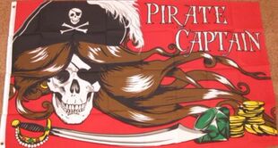 PIRATE CAPTAIN SKULL BANNER JOLLY ROGER Flag亚马逊WISH EBAY