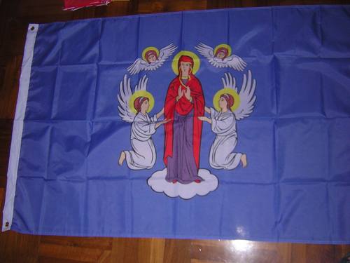 厂家直销，外贸店家货源供应， 100D 涤纶面料 双透 防水防晒 不褪色 快速优质,彩旗定做 一件定制 ，免费设计