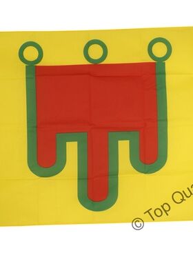 外贸货源法国奥弗涅的旗帜France Auvergne FLAG亚马逊WISH EBAY