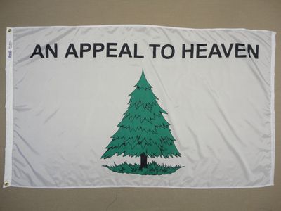 外贸货源Washington Cruisers Pine Tree FLAG亚马逊 WISH EBAY