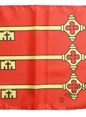 外贸货法国阿维尼翁的旗帜France Avignon Banner亚马逊WISH EBAY