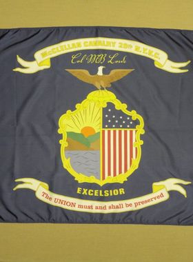 外贸货源20th N.Y. McClellan Cavalry Regiment FLAG WISH EBAY