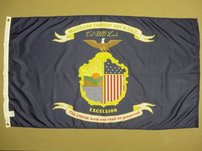 外贸货源20th N.Y. McClellan Cavalry Regiment FLAG WISH EBAY