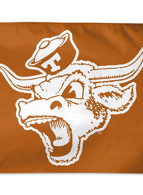 Texas UT Longhorns Throwback Vintage Large 亚马逊WISH EBAY