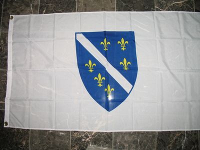 Bosnia Bosnian 1992-1998 Shield Republi Flag亚马逊WISH EBAY