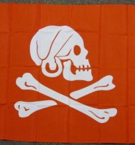 RED HENRY AVERY FLAG PIRATE JOLLY ROGER Flag亚马逊WISH EBAY