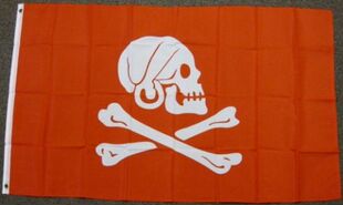 RED HENRY AVERY FLAG PIRATE JOLLY ROGER Flag亚马逊WISH EBAY