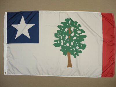 外贸货源Mississippi MS State 1861 FLAG亚马逊 WISH EBAY热卖