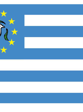 外贸货源南喀麦隆旗Southern Cameroons flag亚马逊WISH EBAY热卖